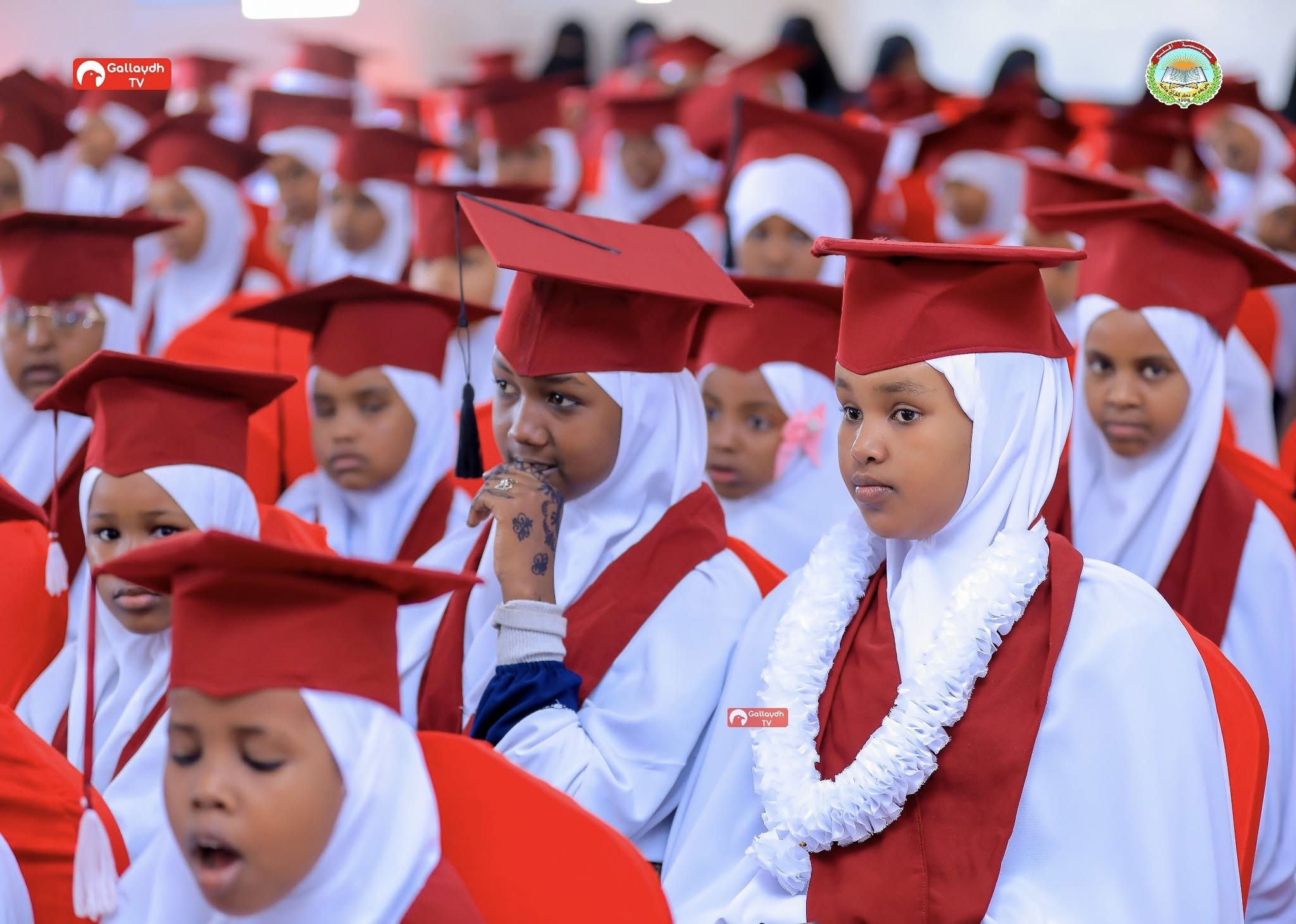 553410619_1107106154904052_2402041369098977632_n